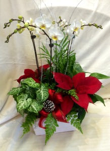 Holiday Planter